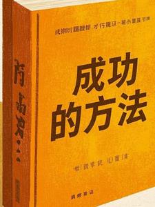 成功的方法论是什么